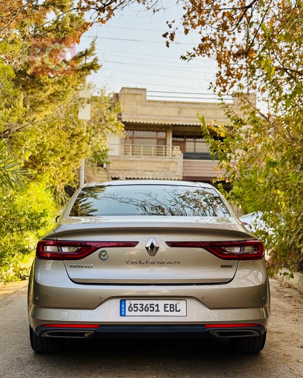 رينو تلسمان